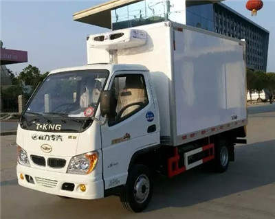 唐駿天然氣汽油廂長3米兩用冷藏車