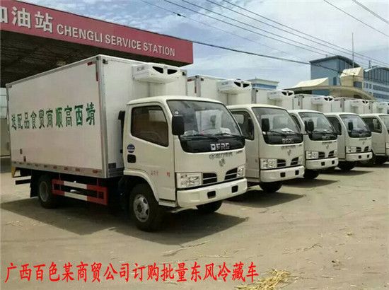東風(fēng)藍(lán)牌冷藏車